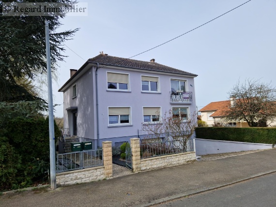 vente immeuble SECTEUR SARREGUEMINES 10 pieces, m